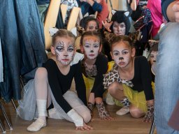 DSC03841-Verbessert-RR